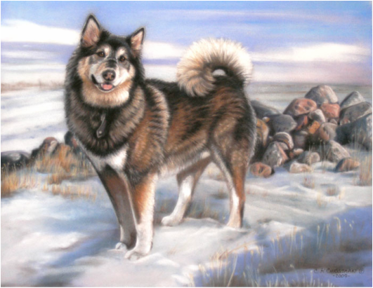 pet portrait painting of a malamute dog