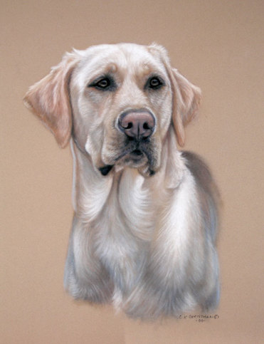labrador retriever pet portrait painting