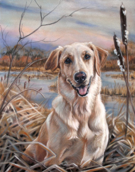 Pet portrait painting of labrador retriever