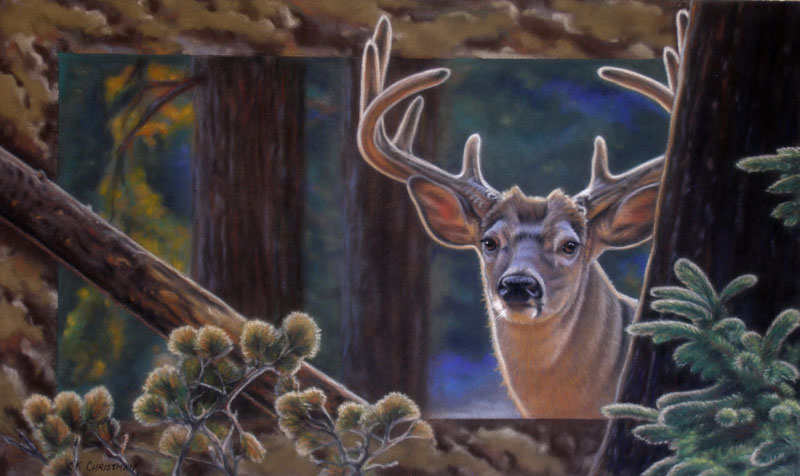 Wildlife paintings by Wisconsin Artist Cynthia Christman