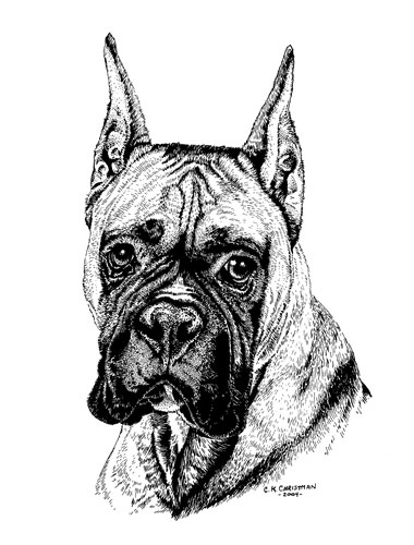 INK ILLUSTRATION - Christman Pet Portraits